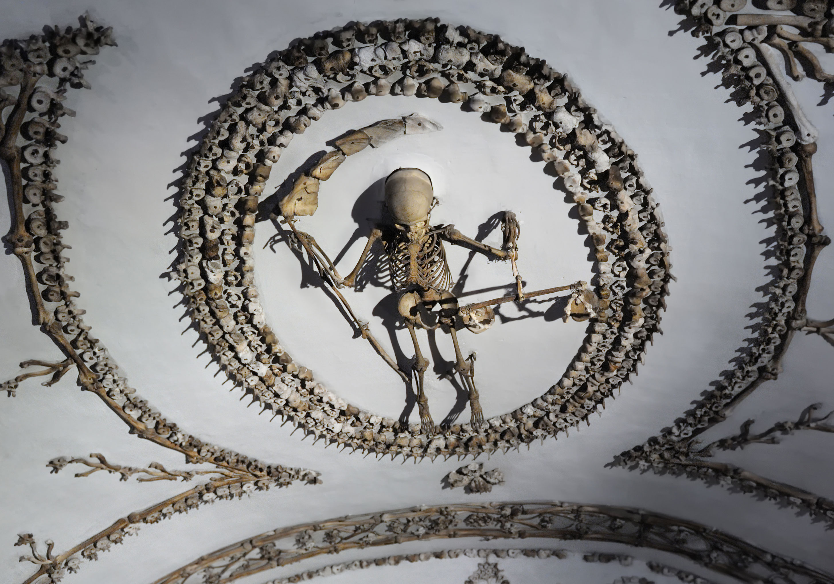 Tondo di mandibole ornato di vertebre