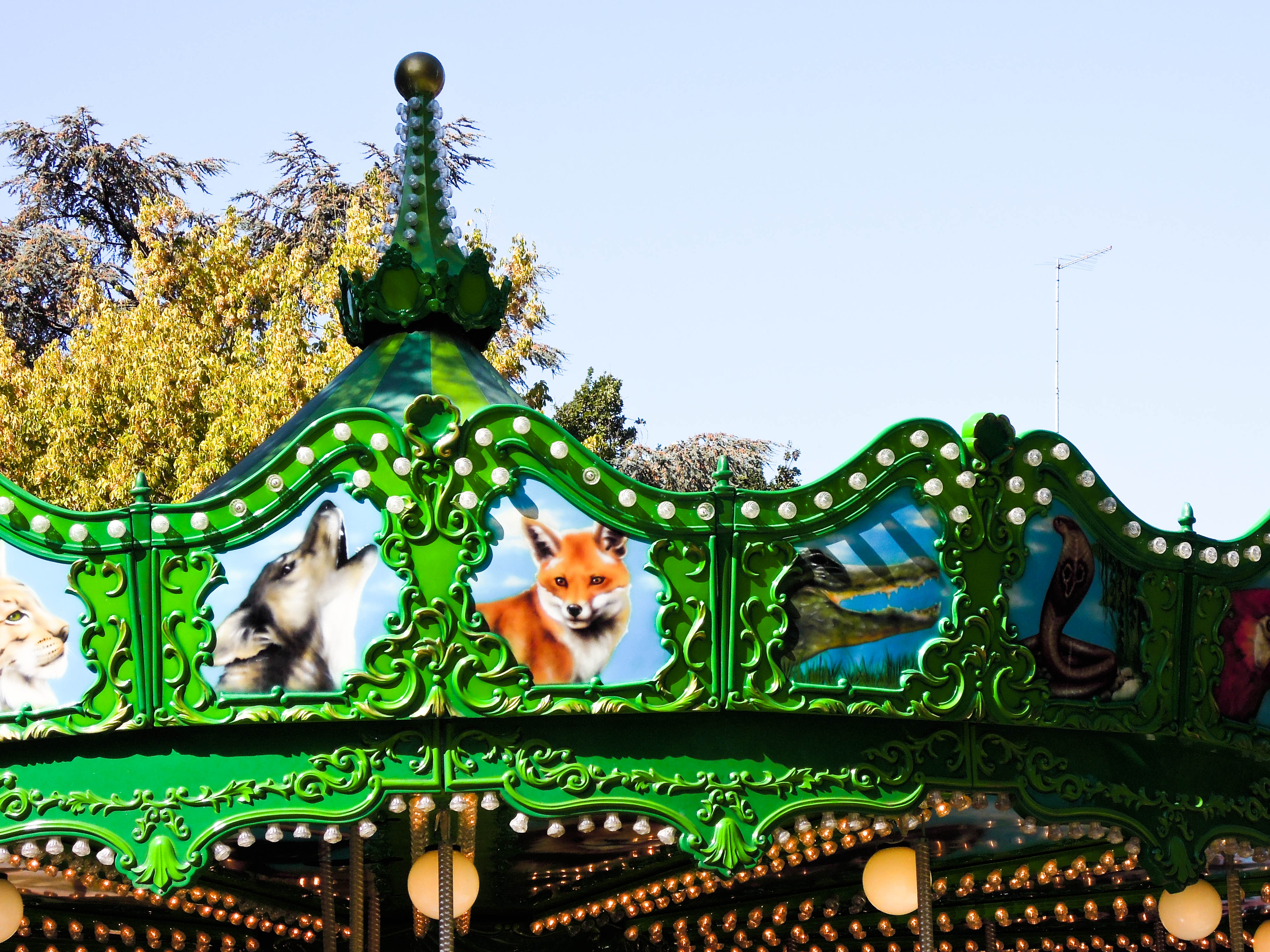 Allo zoo comunale