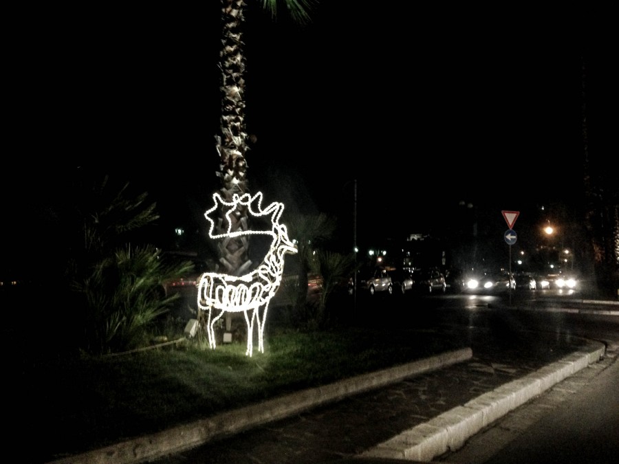 Le renne sul lungomare