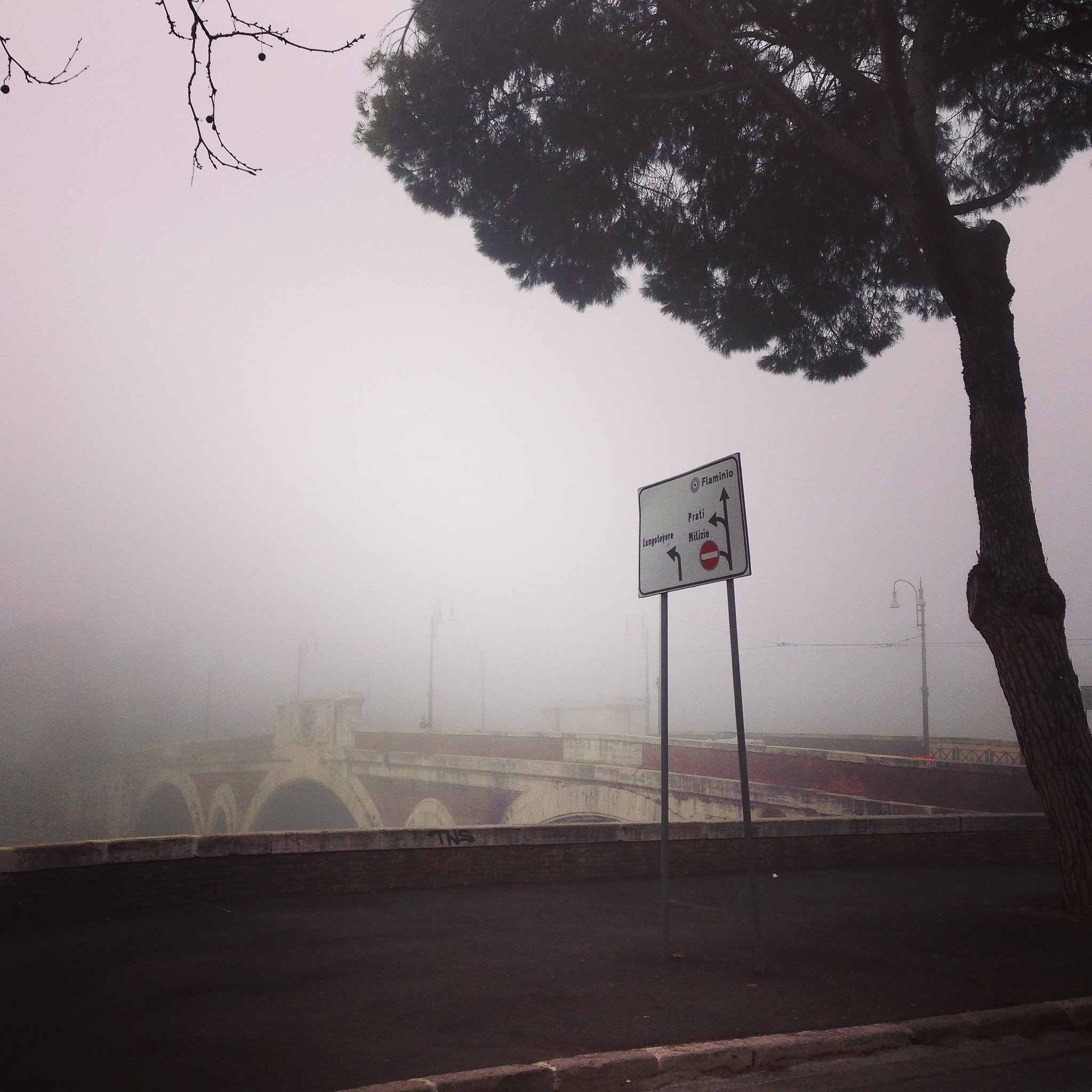 Il giorno di nebbia