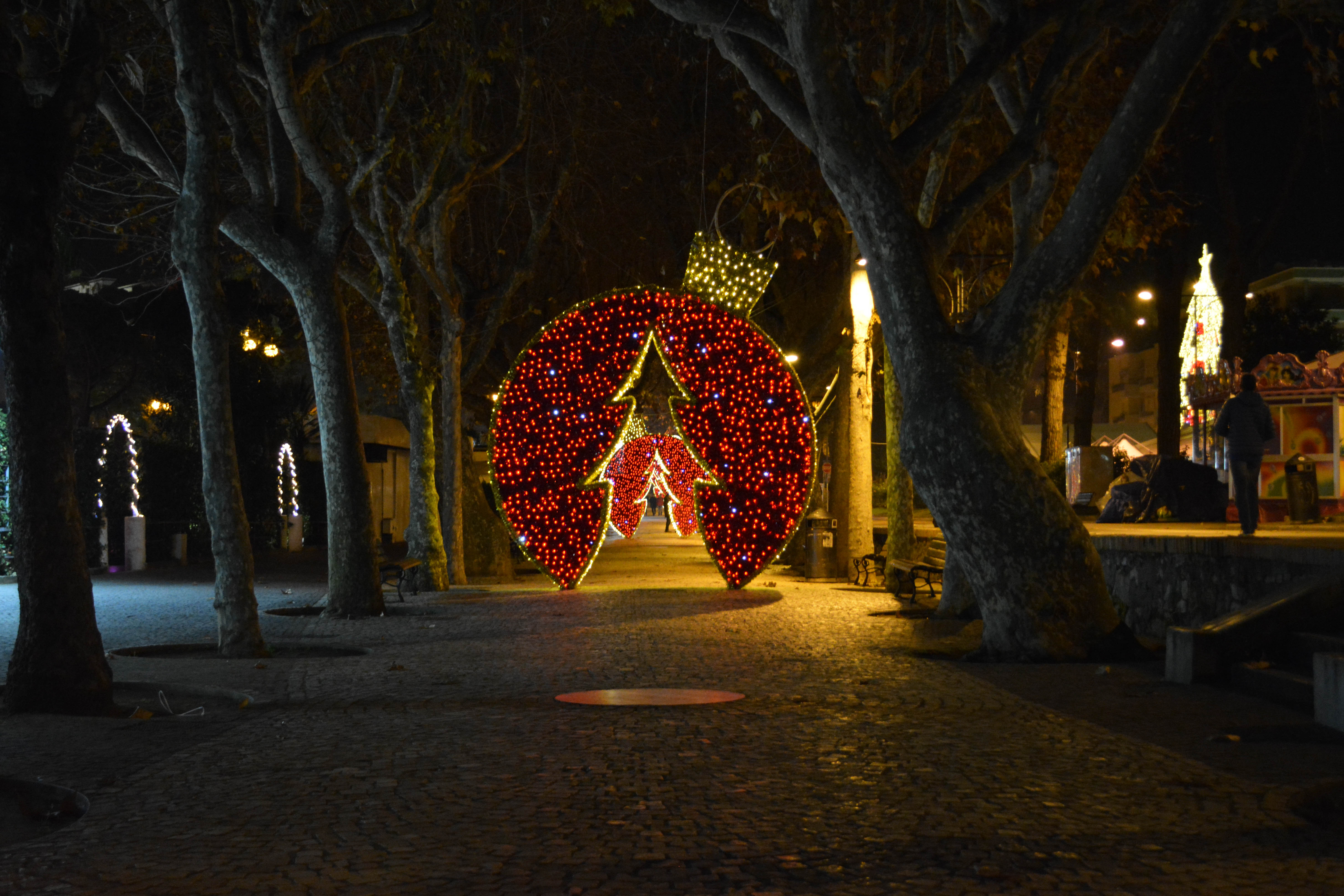 La favola delle luci di Natale