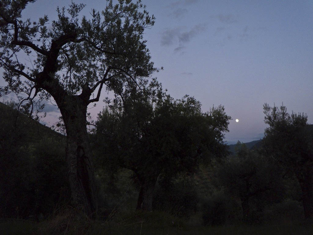 Il tramonto dei vecchi